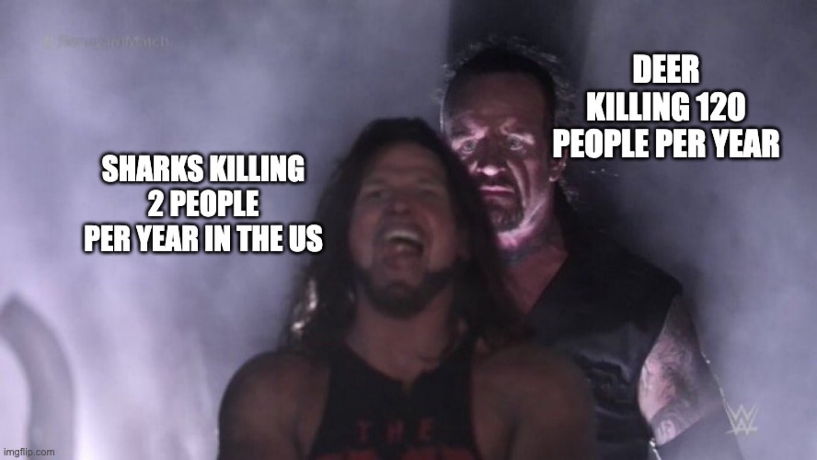 funny meme about sharks vs deer annual deaths in the usa