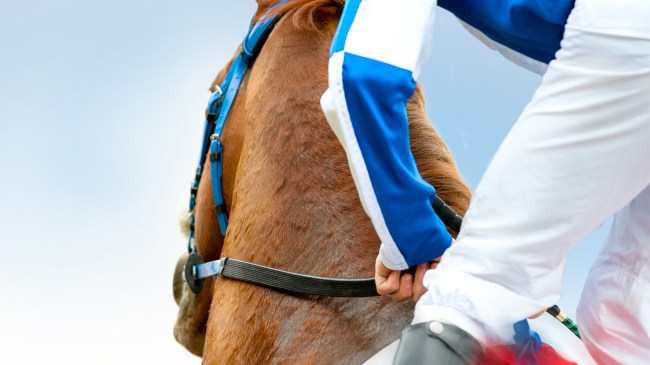 Horse jockey