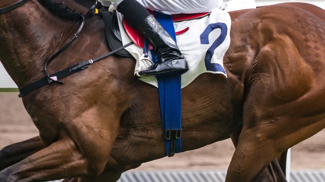 Jockey on horse