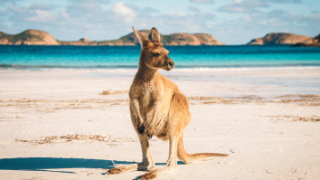 Mysterious Metal Cylinder That Appeared On Australian Beach May Have Been Identified