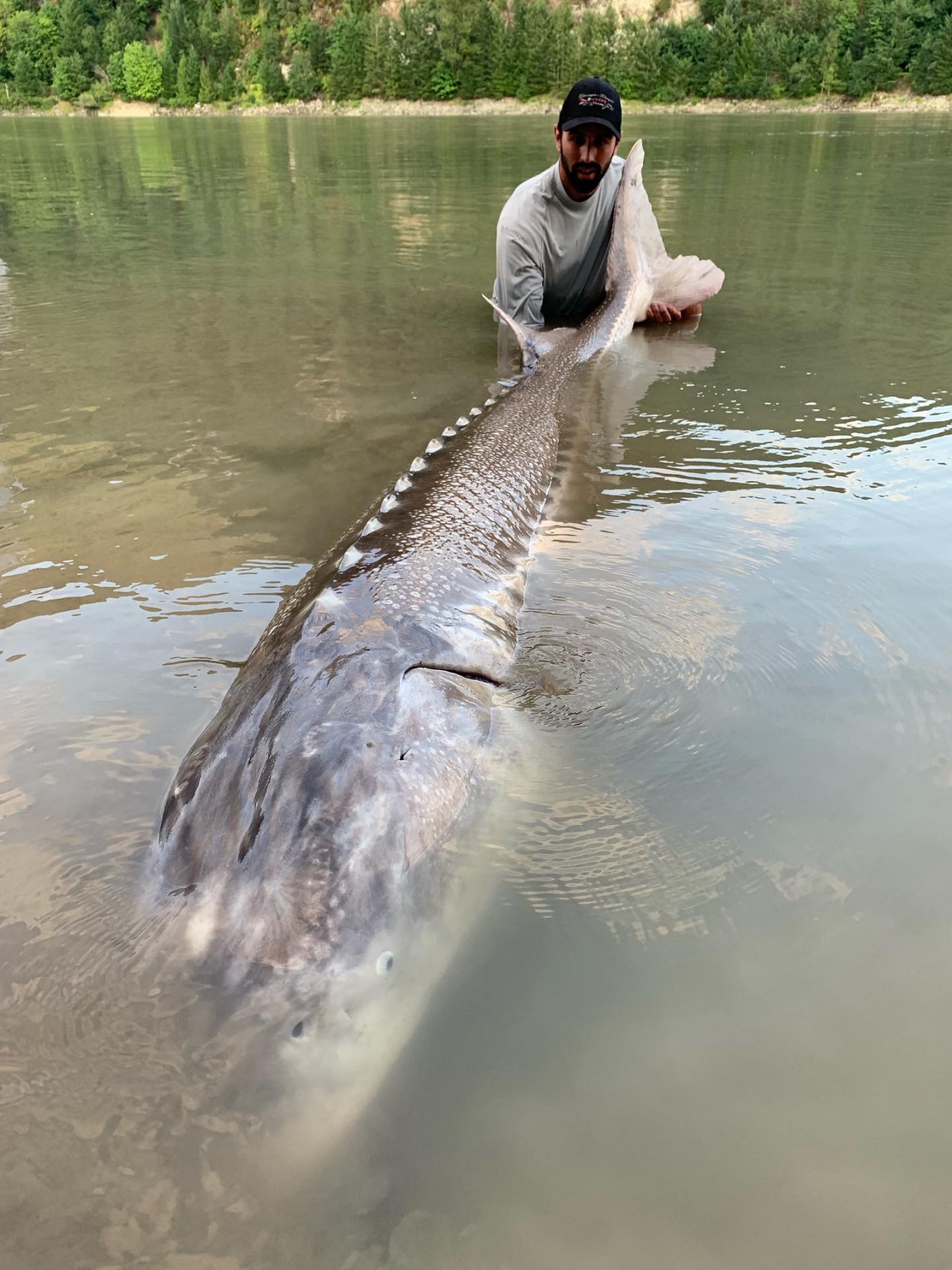 NHL defenseman Nick Leddy sturgeon fishing the Fraser River in British Columbia Canada