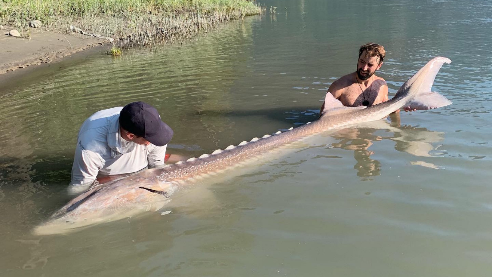 NHL defenseman Nick Leddy sturgeon fishing the Fraser River in British Columbia Canada