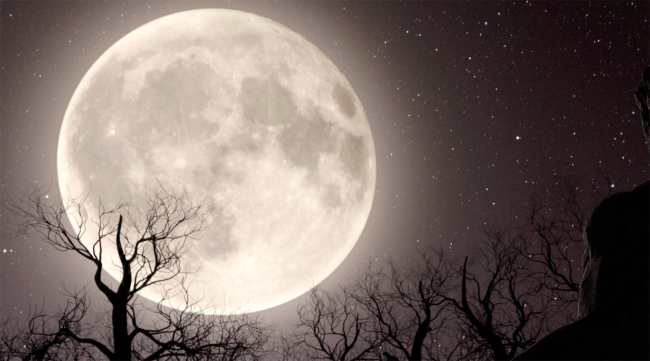 wolf man moon