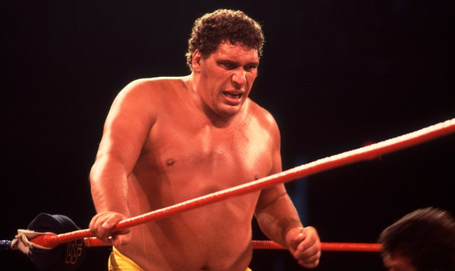 Andre the Giant