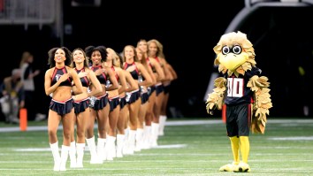 Kid Catches Vicious Stiff Arm From Mascot During Halftime Of Packers-Falcons Game