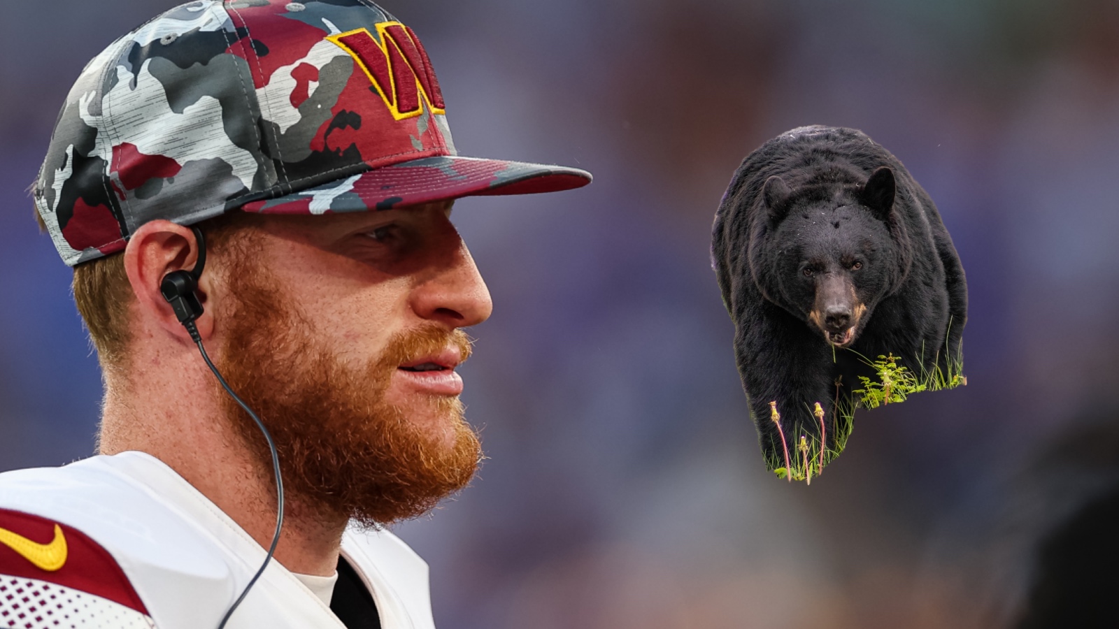 Carson Wentz and a black bear