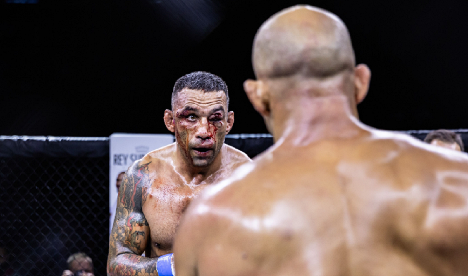 Fabricio Werdum