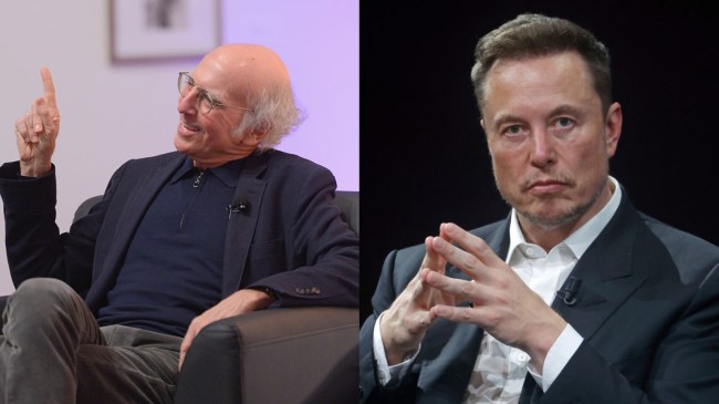 larry david and elon musk