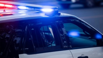 Shirtless Man In A Stolen Golf Cart With A Dog On His Lap Leads LAPD On Bizarre Police Chase