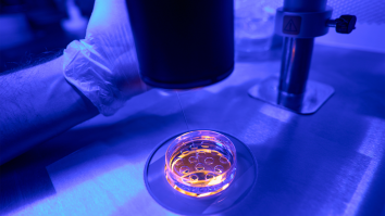 Scientists Create 14-Day-Old Human Embryo Models In A Lab, Raising Ethical Concerns