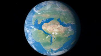 Scientists Predict How Much Time Mammals Have On Earth Before We Go Extinct