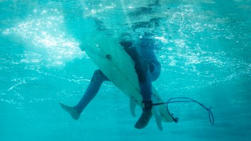 Surfer Bitten In The Face By Shark Shows Off Gnarly Scars While Recounting Scary Incident