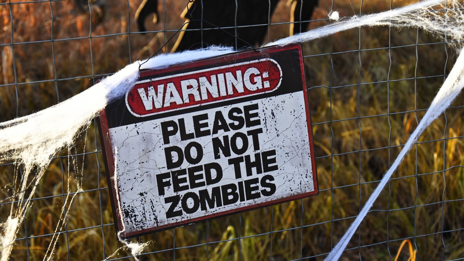 Zombie warning sign do not feed