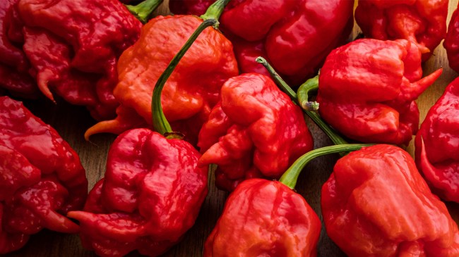 Carolina reaper peppers