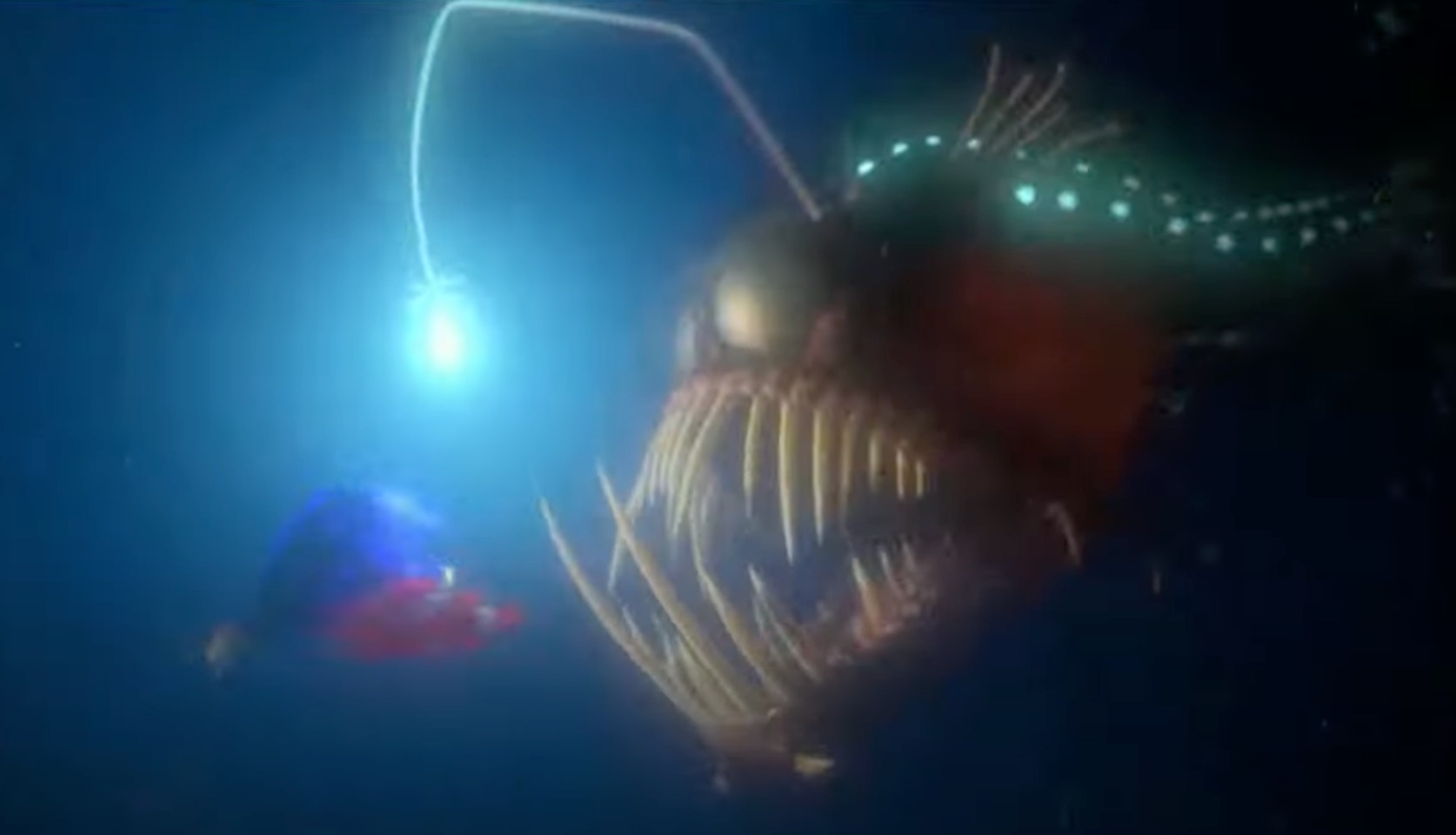 Finding Nemo angler fish Dory and Marlin