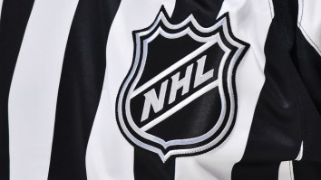 An NHL Game Was Once Delayed By A Live Chicken That Peed On The Ice After Getting Thrown By A Fan