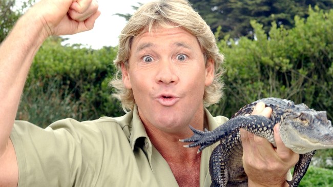 Steve Irwin