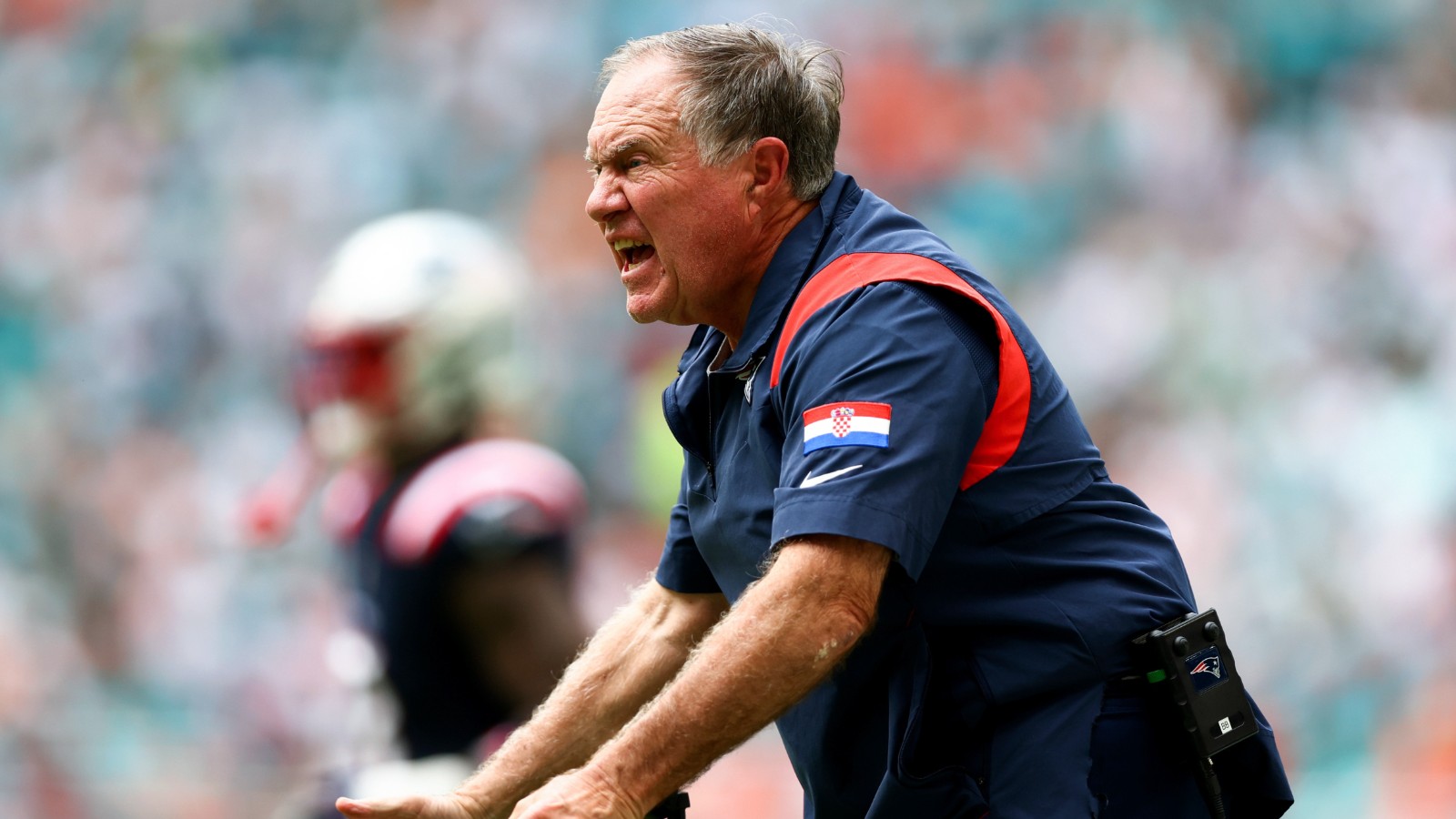 Bill Belichick Patriots