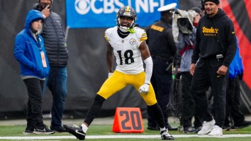 Diontae Johnson Tells Reporters ‘I’m Not Perfect’ While Addressing Lack Of Hustle After Fumble