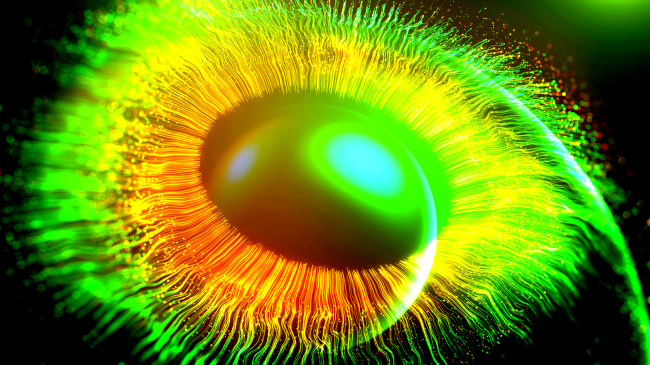 yellow eyeball