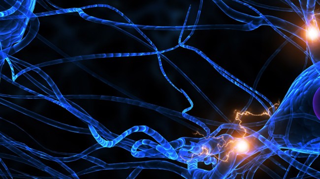 Active Neurons brain cells