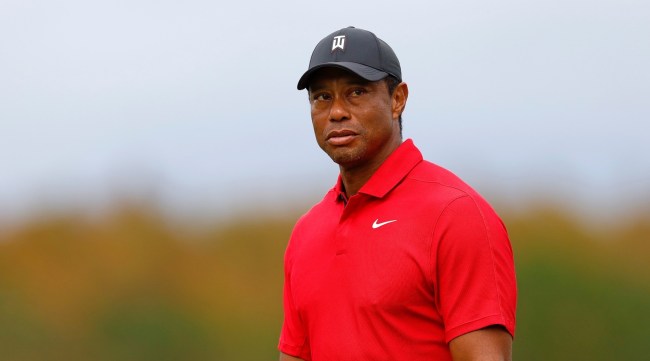 Tiger woods