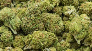 The DEA Is Planning To Admit Marijuana Is Not More Dangerous Than Fentanyl And Cocaine