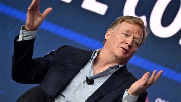 Roger Goodell Once Again Claims NFL Officiating Is Great, Fans Once Again Disagree