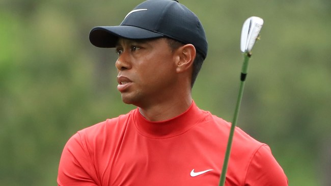 Tiger Woods