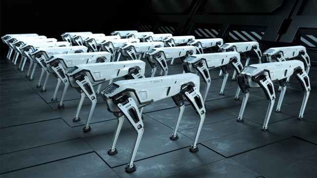robot dog army
