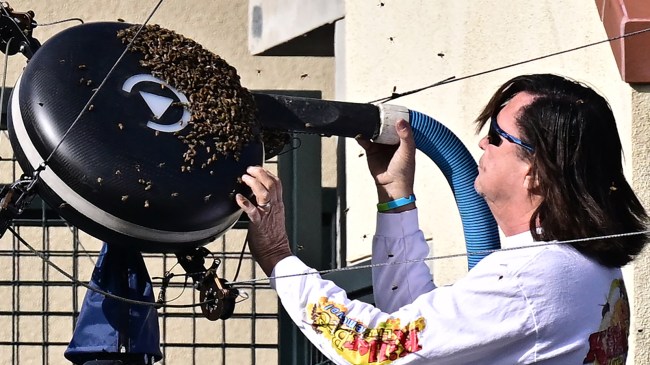 Beekeeper Lance Davis at Indian Wells