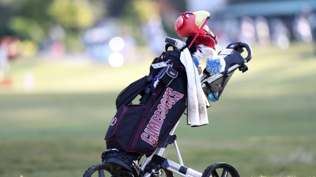A University of South Carolina logo on a golf bag.