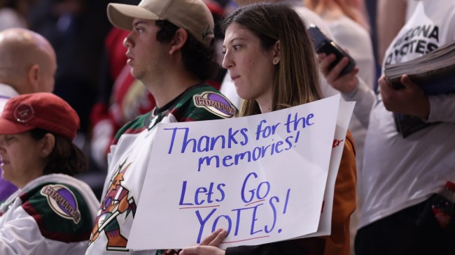 Arizona Coyotes