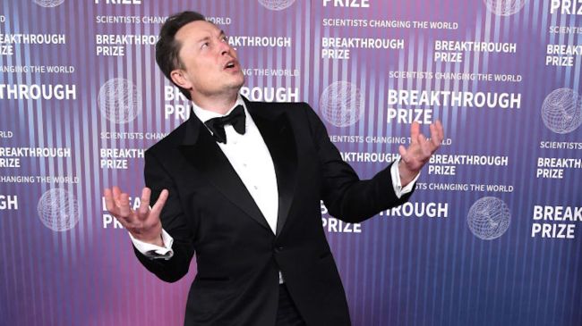 elon musk posing like an idiot