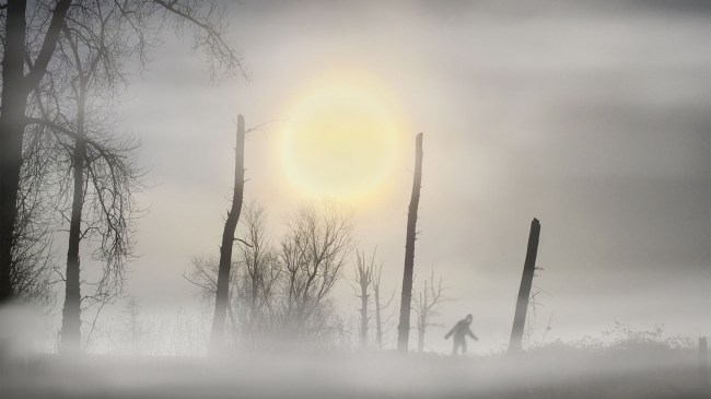 bigfoot on edge of forest