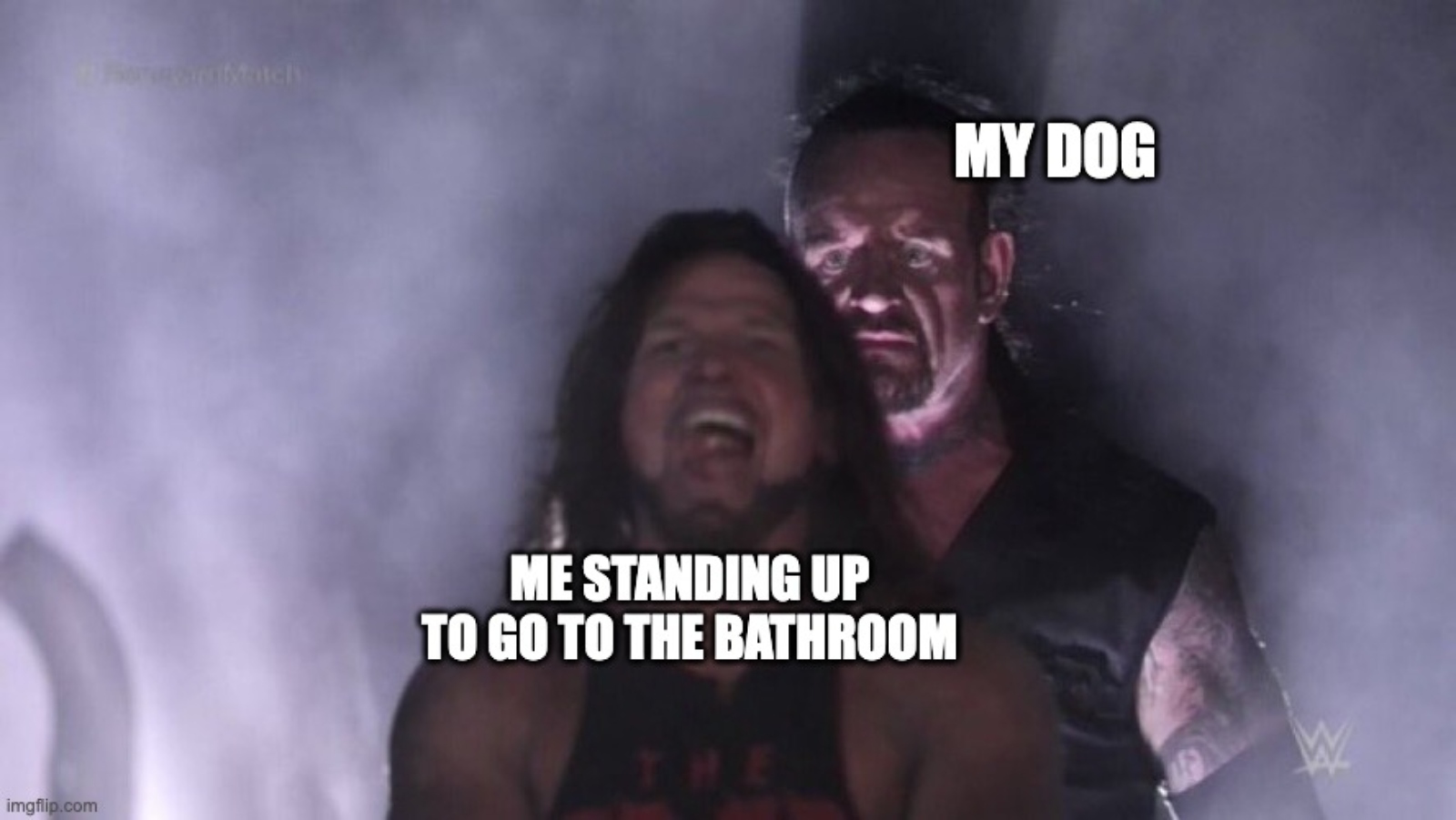 hilarious new meme for dog people