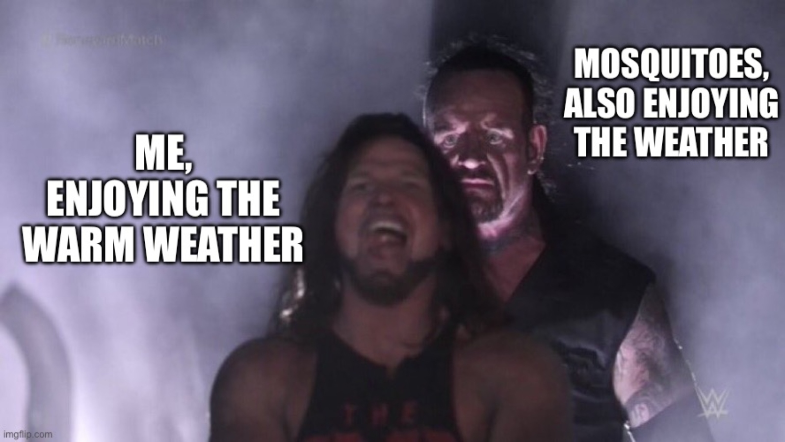 funny meme about Summer and mosquitoes