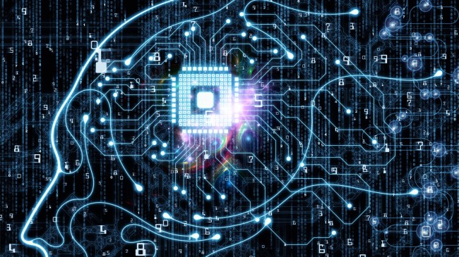 Machine Consciousness