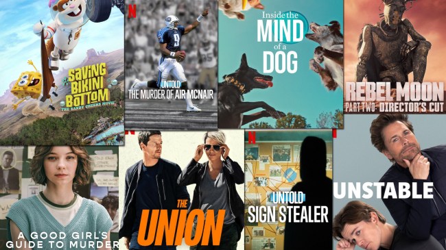 new on netflix august 2024