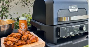 Best foods on the Ninja Smoker