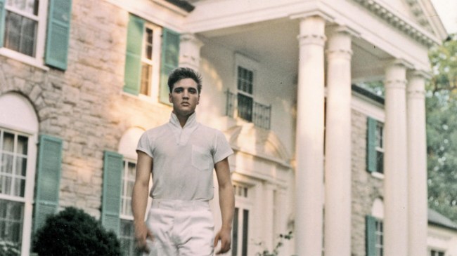 Elvis Presley strolls the grounds of Graceland