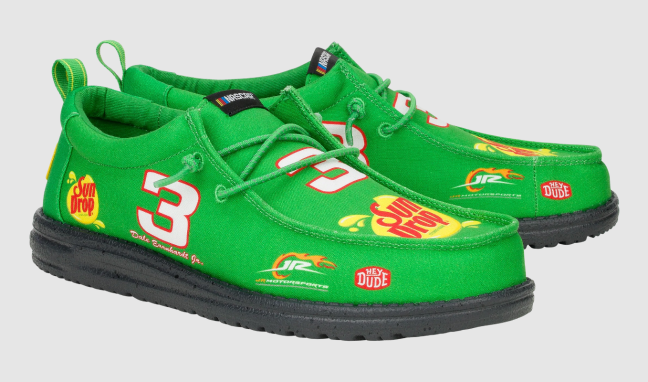 Wally Dale Earnhardt Jr shoes