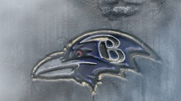Ravens Fan Who Assaulted Commanders Fans Following Game Charged By Police