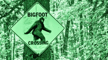 Postal Service Truck Driver Reports Terrifying Encounter With Bigfoot In Rural Illinois