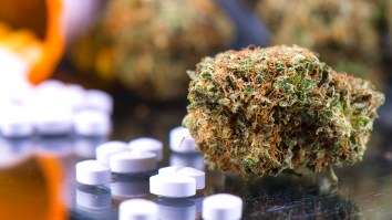 Police In Georgia Stumble Across Massive Drug Stash While Cleaning Up After Hurricane Helene