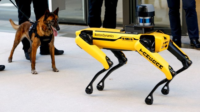 Boston dynamics robot dog