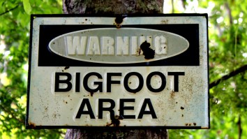 Indiana Man Believes He May Have Captured Images Of Bigfoot On His Game Camera