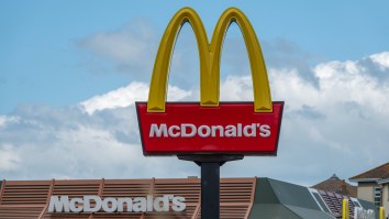 McDonald’s Is Finally Bringing Back Snack Wraps And People Are Freaking Out