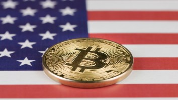 Newly-Pardoned Ross Ulbricht Isn’t A Bitcoin Billionaire After US Gov’t Auction But Some Claim He Still Has A Fortune