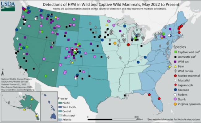 Detections of highly pathogenic avian influenza (HPAI) in wild and captive mammals in the US